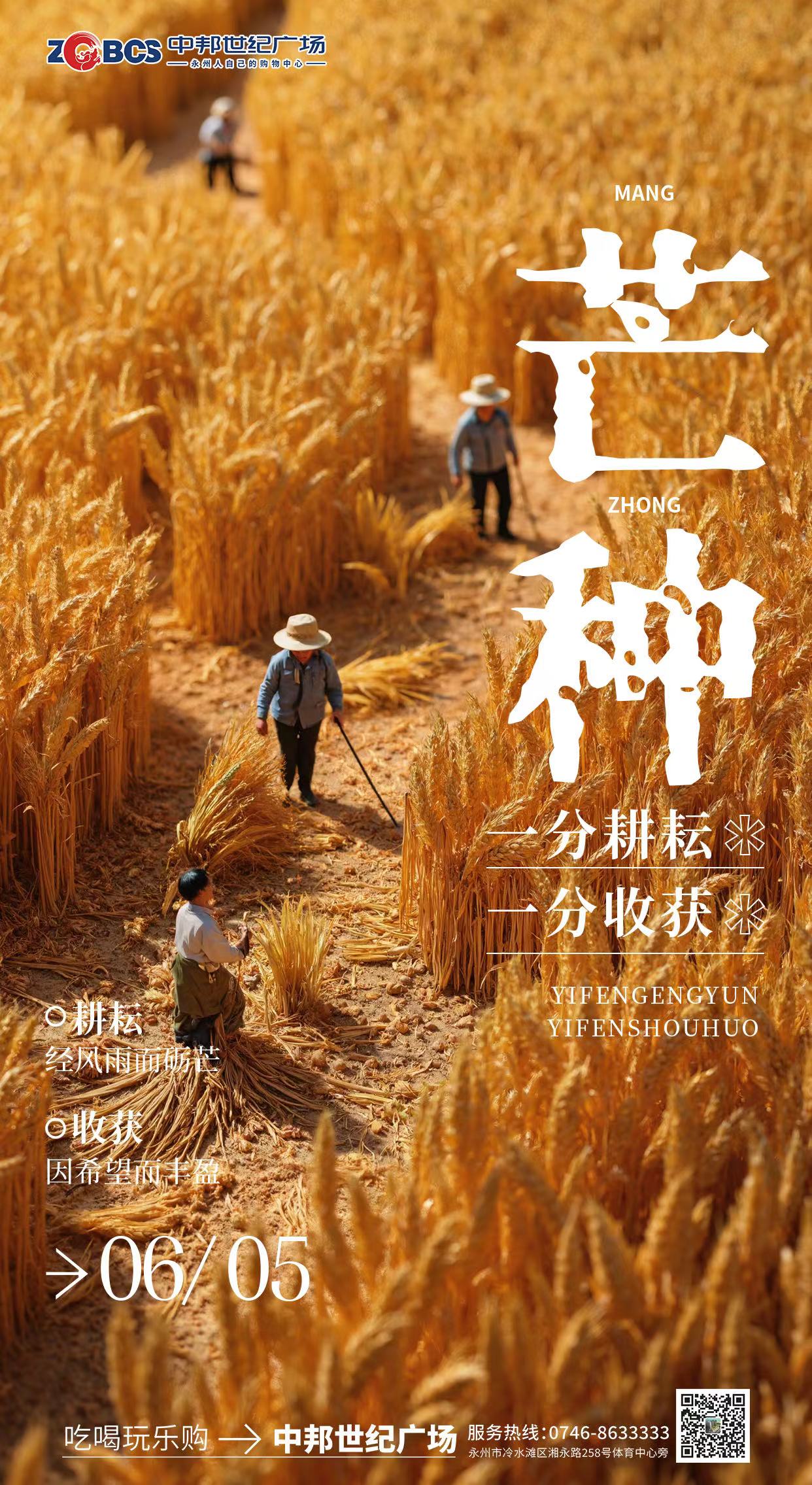 微信图片_20250605083346